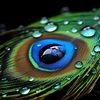 fantasy_visions
