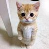 yash_kumawat127