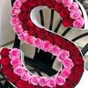 shamila0485