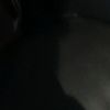 mykel_bee