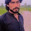 rozikhan30229