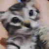 .meawoooo