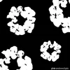 yahya_pfz7