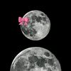nayrouz_essam15
