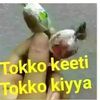 farihaa269