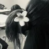 anaac_guima