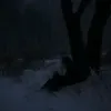 tigr7_aaa
