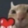 morpheus_mp4