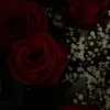esila_oez.13