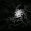 night._void