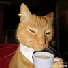goccuamoew