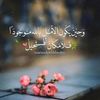 user5584035608157