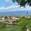 karimalabosse