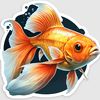 Every.Day.Aquariums