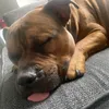 kaylee_skates12