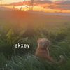 skxey4