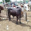 user9360073494143