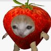 cinnamonroll_elmejor1234