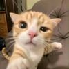 nouranrady94