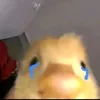 anhvd43