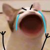 michael_michael27