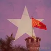 buiphamngocanh246