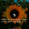 user18219061619945