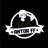 .antor11