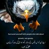 ahmad_ar_g