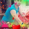 radhe_shyam180