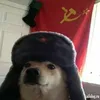 leninlover4.0