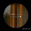.sn.05