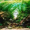 shopaqua123
