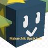 basic_bee_makarchik