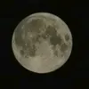 magwbm