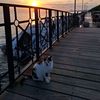 cancunlove3