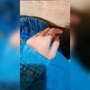 user7052398667960