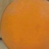 inanimateorange