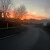 ilovenohankenneh