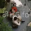 isgifa