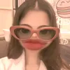 tacoyuc