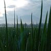 tresnokukarokoe1