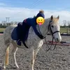 freyarbo