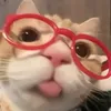 4_lexa0