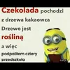 gracuss4