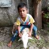 alif11hafizh