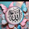 zainabfatima1739