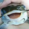crablet_guy