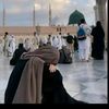sarahshaikh7831