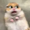 tammlopplopp